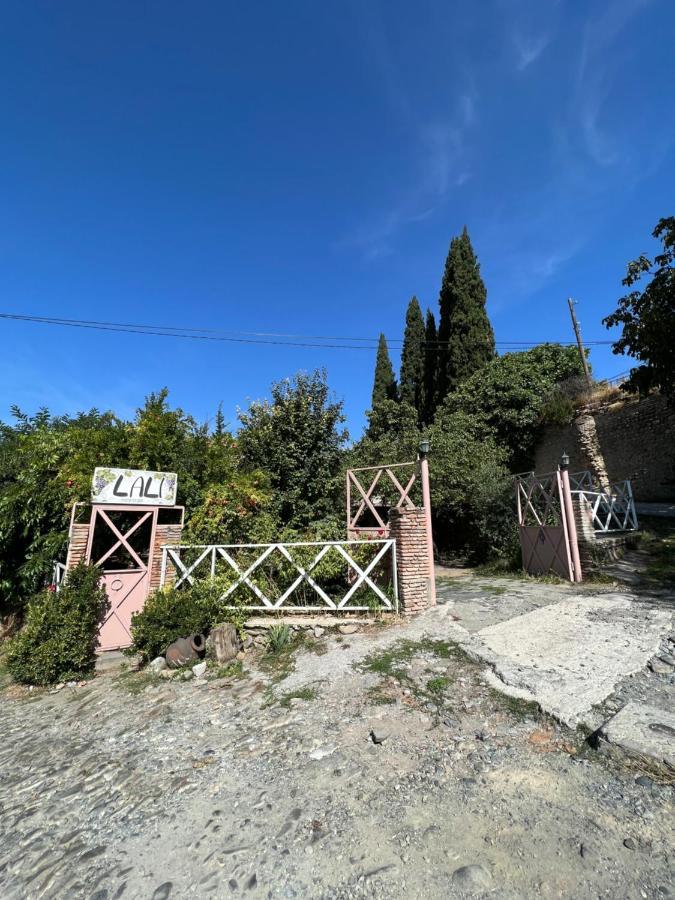 Guest House Lali Signagi Exterior foto