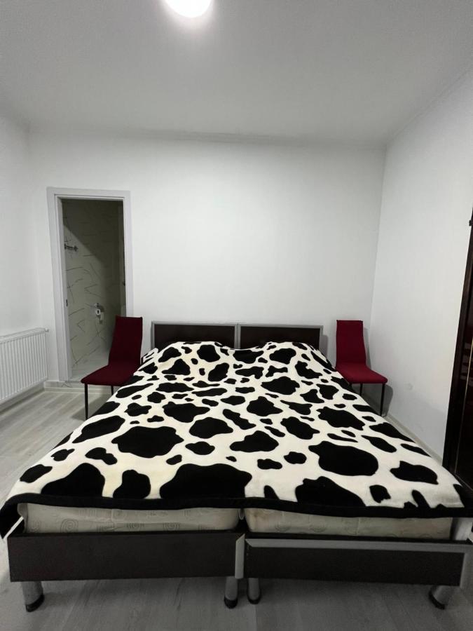 Guest House Lali Signagi Exterior foto